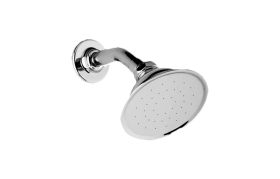 Elegant Showerhead with Shower Arm