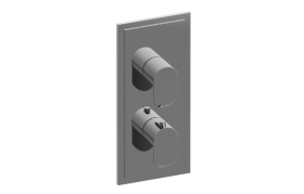 Phase Transitional M-Series Valve Trim with Two Handles