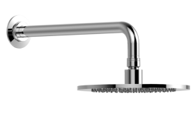 Contemporary Showerhead with Arm