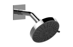 Contemporary Showerhead with Arm