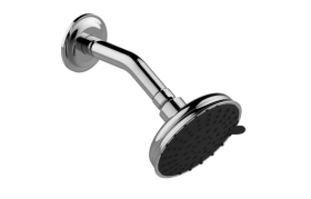 Transitional Showerhead with Arm