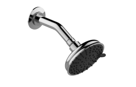 Transitional Showerhead with Arm